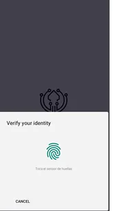 Ironchip app asking for biometrics after opening the notification
