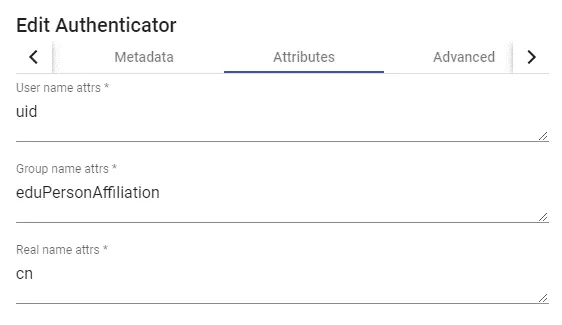 Pestaña Attributes con los atributos definidos