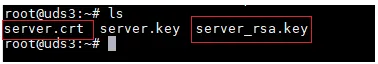 Contenido del certificado y de la clave RSA
