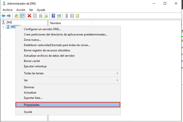 Menú contextual del servidor en el administrador de DNS con la opción Propiedades