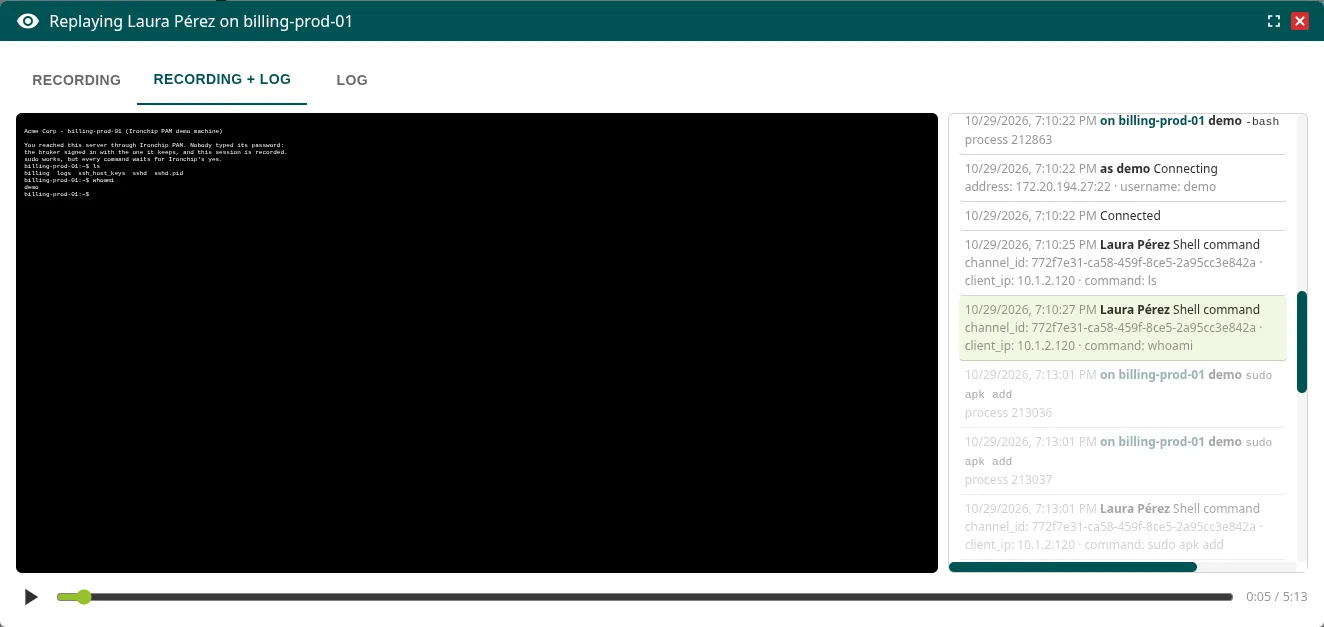 Reproductor de una sesión SSH con la terminal a la izquierda y la línea de tiempo a la derecha