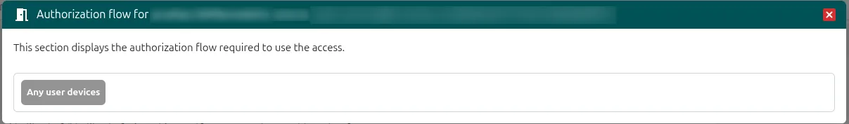 Authorization flow window with the policies the access requires