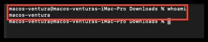 Terminal con el resultado del comando whoami